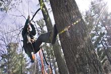 Image: Urban Forestry WTCS